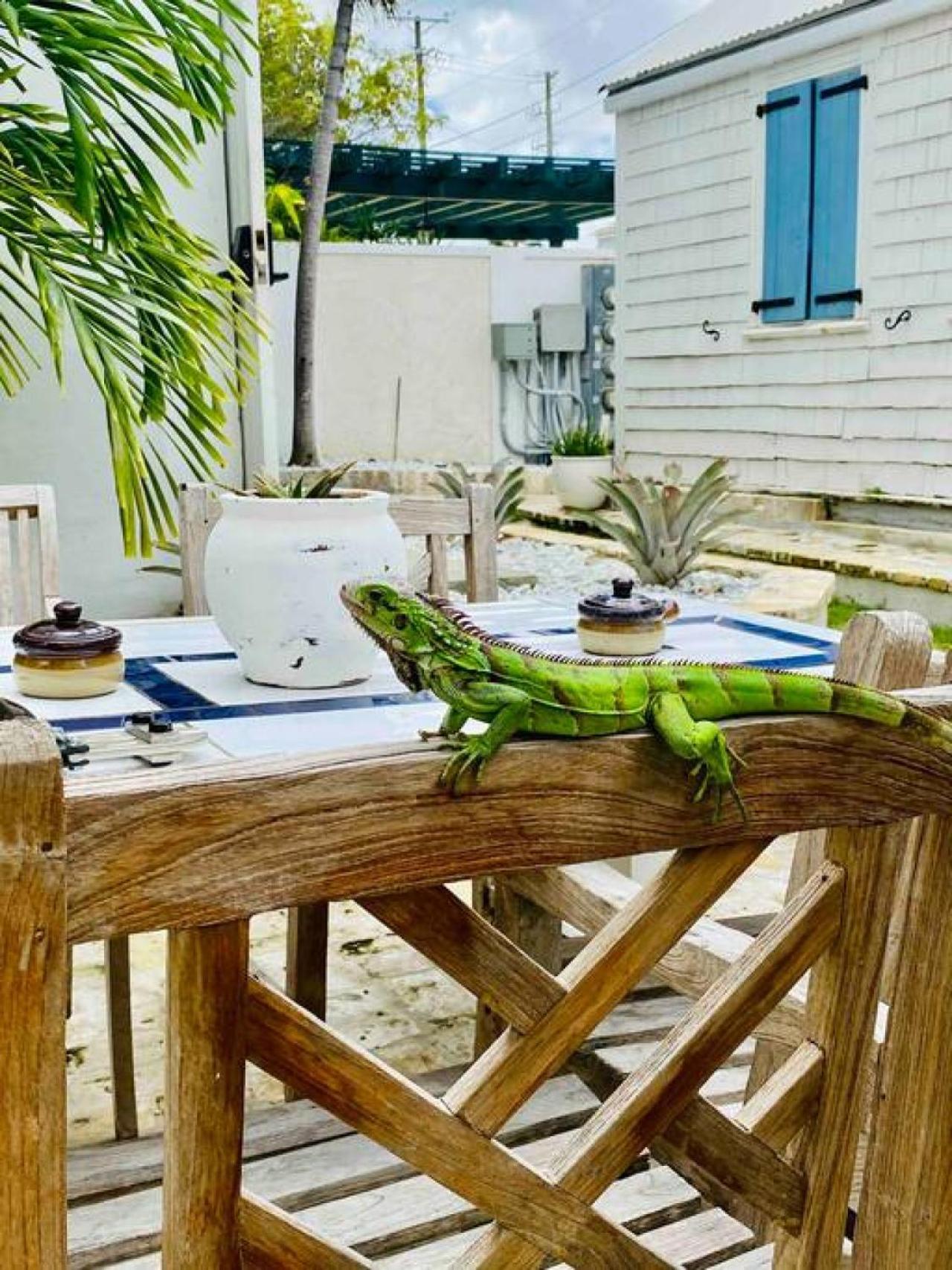 Appartement Zen Treasure - A Mateys Retreat à Christiansted Extérieur photo